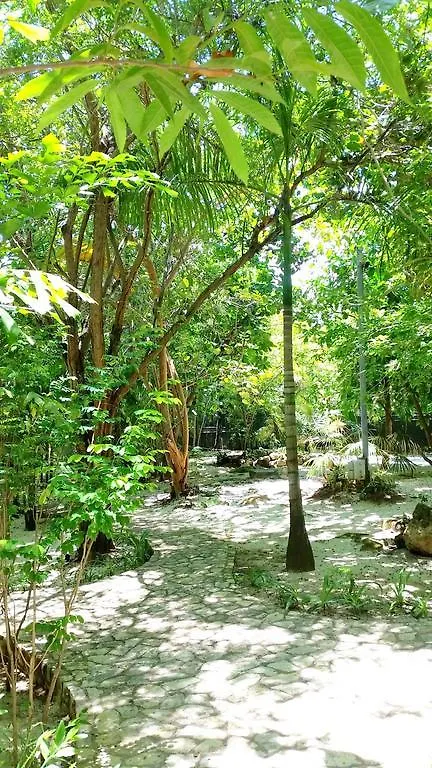 Idle Awhile Cliffs Hotel Negril 3*,