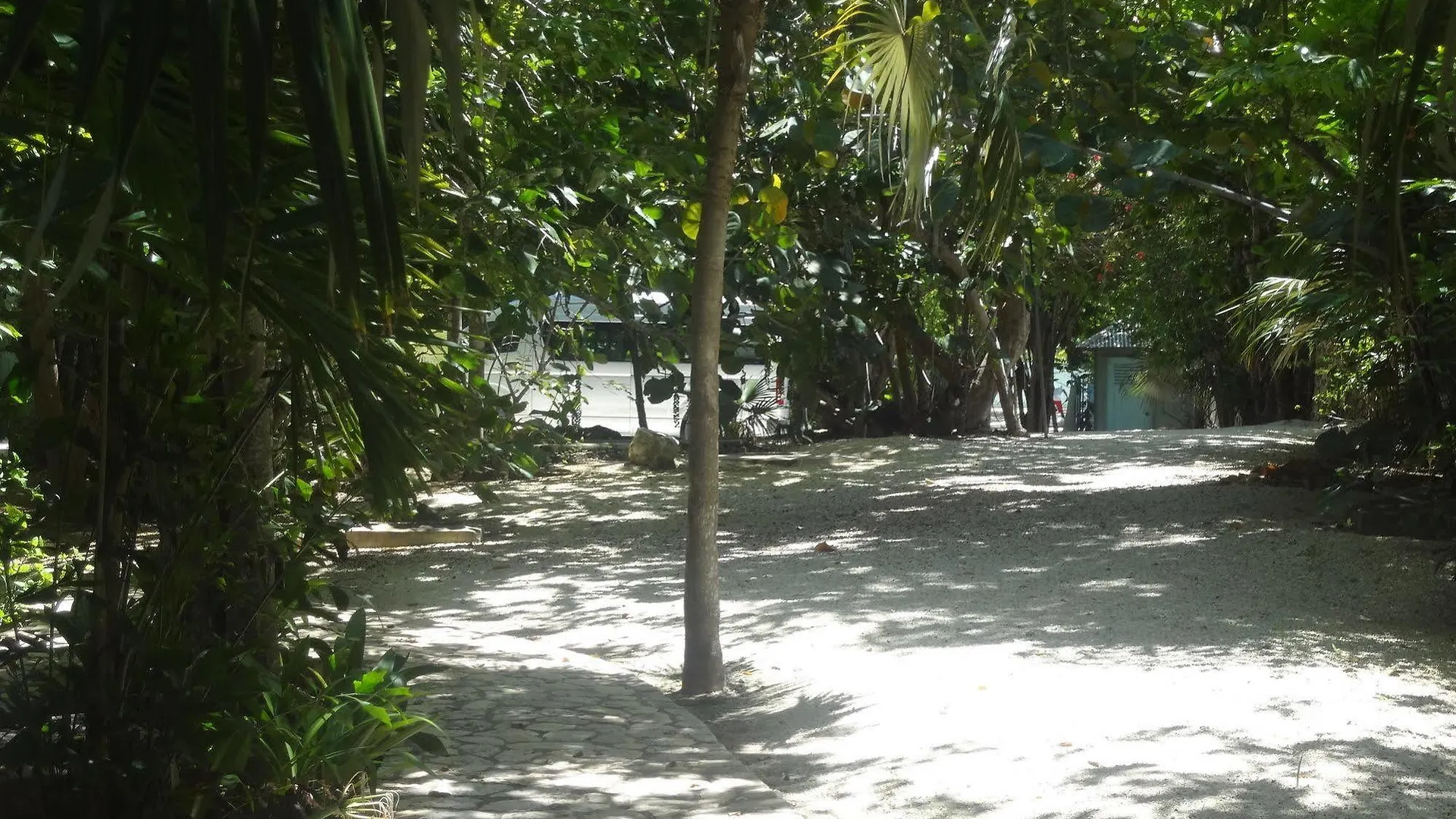 Idle Awhile Cliffs Hotel Negril